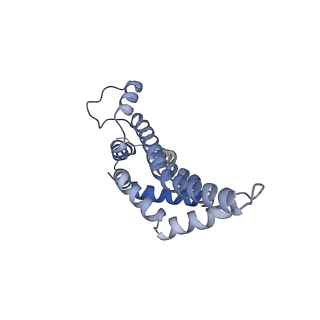 30359_7cgo_w_v1-2
Cryo-EM structure of the flagellar motor-hook complex from Salmonella