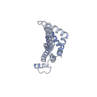 30359_7cgo_z_v1-2
Cryo-EM structure of the flagellar motor-hook complex from Salmonella
