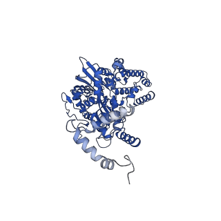 7470_6cg0_C_v1-4
Cryo-EM structure of mouse RAG1/2 HFC complex (3.17 A)