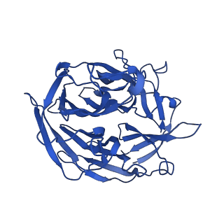 7470_6cg0_D_v1-3
Cryo-EM structure of mouse RAG1/2 HFC complex (3.17 A)