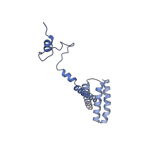 9958_7cgp_A_v1-1
Cryo-EM structure of the human mitochondrial translocase TIM22 complex at 3.7 angstrom.