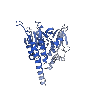 9958_7cgp_B_v1-1
Cryo-EM structure of the human mitochondrial translocase TIM22 complex at 3.7 angstrom.