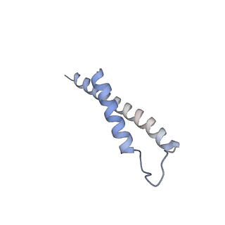 9958_7cgp_D_v1-1
Cryo-EM structure of the human mitochondrial translocase TIM22 complex at 3.7 angstrom.
