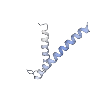 9958_7cgp_E_v1-1
Cryo-EM structure of the human mitochondrial translocase TIM22 complex at 3.7 angstrom.