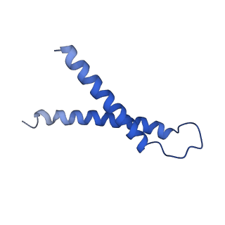 9958_7cgp_G_v1-1
Cryo-EM structure of the human mitochondrial translocase TIM22 complex at 3.7 angstrom.