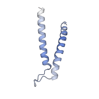 9958_7cgp_H_v1-1
Cryo-EM structure of the human mitochondrial translocase TIM22 complex at 3.7 angstrom.