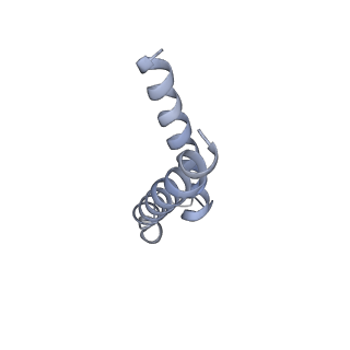 9958_7cgp_I_v1-1
Cryo-EM structure of the human mitochondrial translocase TIM22 complex at 3.7 angstrom.