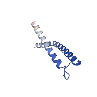 9958_7cgp_J_v1-1
Cryo-EM structure of the human mitochondrial translocase TIM22 complex at 3.7 angstrom.