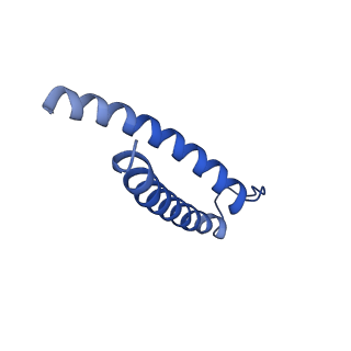 9958_7cgp_M_v1-1
Cryo-EM structure of the human mitochondrial translocase TIM22 complex at 3.7 angstrom.