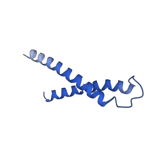 9958_7cgp_N_v1-1
Cryo-EM structure of the human mitochondrial translocase TIM22 complex at 3.7 angstrom.