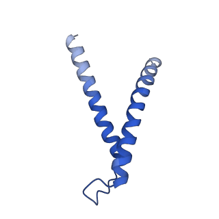9958_7cgp_O_v1-1
Cryo-EM structure of the human mitochondrial translocase TIM22 complex at 3.7 angstrom.