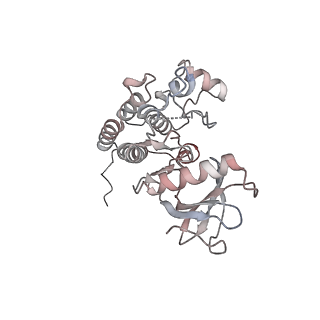 16660_8chf_B_v1-1
cryo-EM Structure of Craf:14-3-3:Mek1