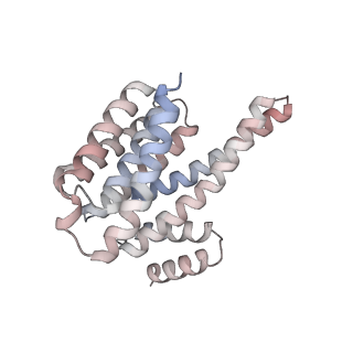 16660_8chf_D_v1-1
cryo-EM Structure of Craf:14-3-3:Mek1