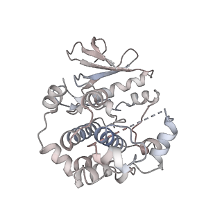 16660_8chf_E_v1-1
cryo-EM Structure of Craf:14-3-3:Mek1