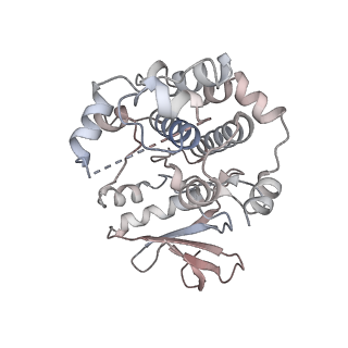 16660_8chf_F_v1-1
cryo-EM Structure of Craf:14-3-3:Mek1