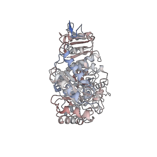 16664_8chs_A_v1-1
Human heparan sulfate N-deacetylase-N-sulfotransferase 1 in complex with calcium, 3'-phosphoadenosine-5'-phosphosulfate and nanobody nAb13 (composite map and model).