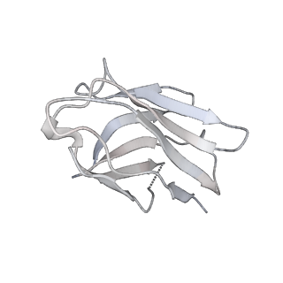 16664_8chs_D_v1-1
Human heparan sulfate N-deacetylase-N-sulfotransferase 1 in complex with calcium, 3'-phosphoadenosine-5'-phosphosulfate and nanobody nAb13 (composite map and model).