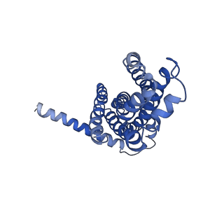30367_7ch0_A_v2-1
The overall structure of the MlaFEDB complex in ATP-bound EQclose conformation (Mutation of E170Q on MlaF)