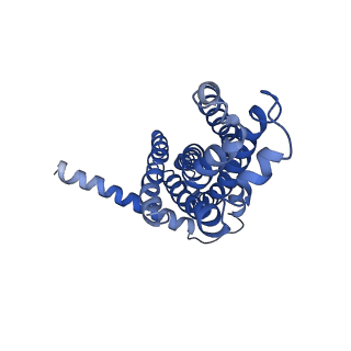 30367_7ch0_A_v2-2
The overall structure of the MlaFEDB complex in ATP-bound EQclose conformation (Mutation of E170Q on MlaF)