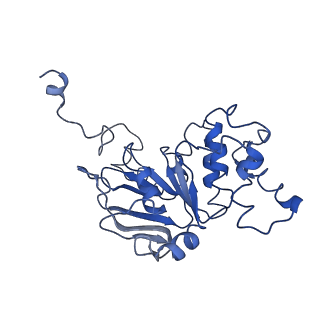 30367_7ch0_B_v1-1
The overall structure of the MlaFEDB complex in ATP-bound EQclose conformation (Mutation of E170Q on MlaF)