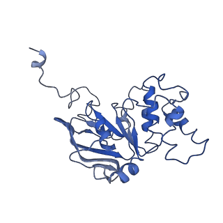 30367_7ch0_B_v2-1
The overall structure of the MlaFEDB complex in ATP-bound EQclose conformation (Mutation of E170Q on MlaF)