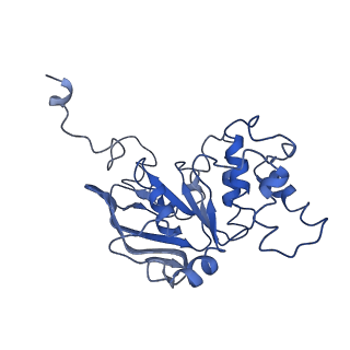 30367_7ch0_B_v2-2
The overall structure of the MlaFEDB complex in ATP-bound EQclose conformation (Mutation of E170Q on MlaF)