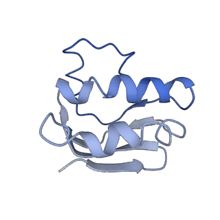30367_7ch0_C_v1-1
The overall structure of the MlaFEDB complex in ATP-bound EQclose conformation (Mutation of E170Q on MlaF)