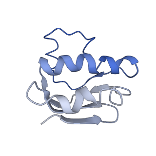 30367_7ch0_C_v2-1
The overall structure of the MlaFEDB complex in ATP-bound EQclose conformation (Mutation of E170Q on MlaF)