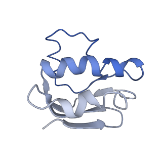 30367_7ch0_C_v2-2
The overall structure of the MlaFEDB complex in ATP-bound EQclose conformation (Mutation of E170Q on MlaF)