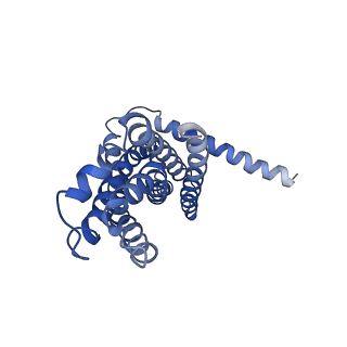 30367_7ch0_D_v1-1
The overall structure of the MlaFEDB complex in ATP-bound EQclose conformation (Mutation of E170Q on MlaF)