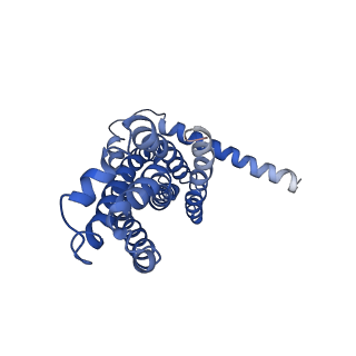 30367_7ch0_D_v2-1
The overall structure of the MlaFEDB complex in ATP-bound EQclose conformation (Mutation of E170Q on MlaF)