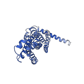 30367_7ch0_D_v2-2
The overall structure of the MlaFEDB complex in ATP-bound EQclose conformation (Mutation of E170Q on MlaF)