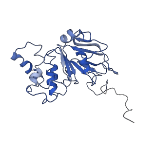 30367_7ch0_E_v1-1
The overall structure of the MlaFEDB complex in ATP-bound EQclose conformation (Mutation of E170Q on MlaF)