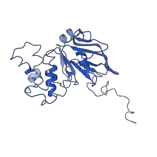 30367_7ch0_E_v2-1
The overall structure of the MlaFEDB complex in ATP-bound EQclose conformation (Mutation of E170Q on MlaF)