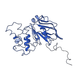 30367_7ch0_E_v2-2
The overall structure of the MlaFEDB complex in ATP-bound EQclose conformation (Mutation of E170Q on MlaF)