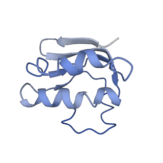 30367_7ch0_F_v1-1
The overall structure of the MlaFEDB complex in ATP-bound EQclose conformation (Mutation of E170Q on MlaF)