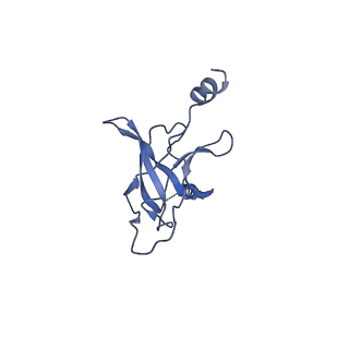 30367_7ch0_H_v1-1
The overall structure of the MlaFEDB complex in ATP-bound EQclose conformation (Mutation of E170Q on MlaF)