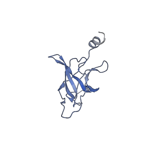 30367_7ch0_H_v2-1
The overall structure of the MlaFEDB complex in ATP-bound EQclose conformation (Mutation of E170Q on MlaF)
