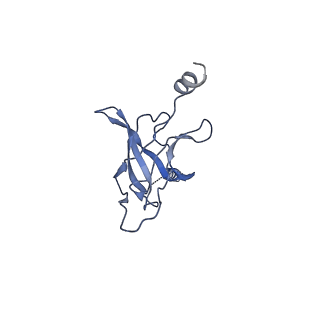 30367_7ch0_H_v2-2
The overall structure of the MlaFEDB complex in ATP-bound EQclose conformation (Mutation of E170Q on MlaF)