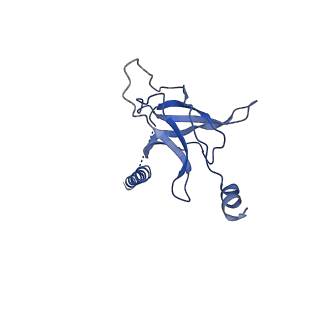 30367_7ch0_J_v2-1
The overall structure of the MlaFEDB complex in ATP-bound EQclose conformation (Mutation of E170Q on MlaF)