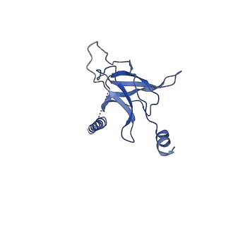 30367_7ch0_J_v2-2
The overall structure of the MlaFEDB complex in ATP-bound EQclose conformation (Mutation of E170Q on MlaF)