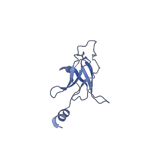 30367_7ch0_K_v2-2
The overall structure of the MlaFEDB complex in ATP-bound EQclose conformation (Mutation of E170Q on MlaF)