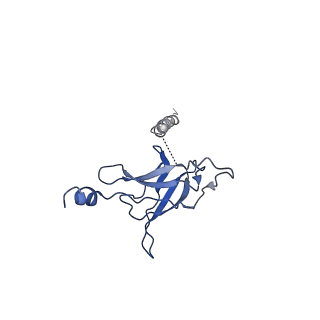 30367_7ch0_L_v1-1
The overall structure of the MlaFEDB complex in ATP-bound EQclose conformation (Mutation of E170Q on MlaF)