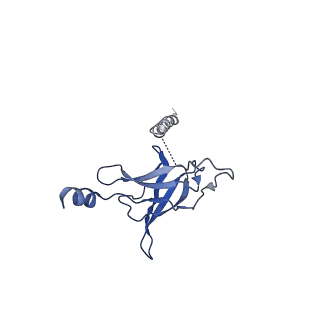 30367_7ch0_L_v2-1
The overall structure of the MlaFEDB complex in ATP-bound EQclose conformation (Mutation of E170Q on MlaF)