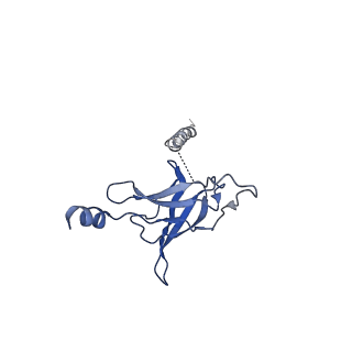 30367_7ch0_L_v2-2
The overall structure of the MlaFEDB complex in ATP-bound EQclose conformation (Mutation of E170Q on MlaF)