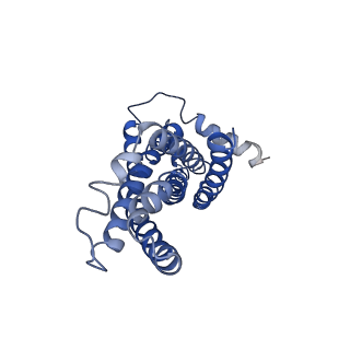 30369_7ch6_A_v1-0
Cryo-EM structure of E.coli MlaFEB with AMPPNP