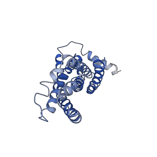 30369_7ch6_A_v1-1
Cryo-EM structure of E.coli MlaFEB with AMPPNP