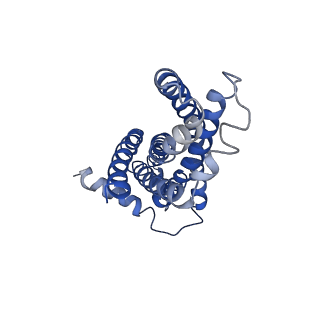 30369_7ch6_B_v1-0
Cryo-EM structure of E.coli MlaFEB with AMPPNP
