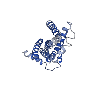 30369_7ch6_B_v1-1
Cryo-EM structure of E.coli MlaFEB with AMPPNP