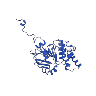 30369_7ch6_C_v1-0
Cryo-EM structure of E.coli MlaFEB with AMPPNP